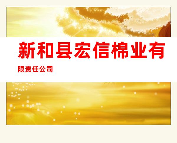 新和县宏信棉业有限责任公司